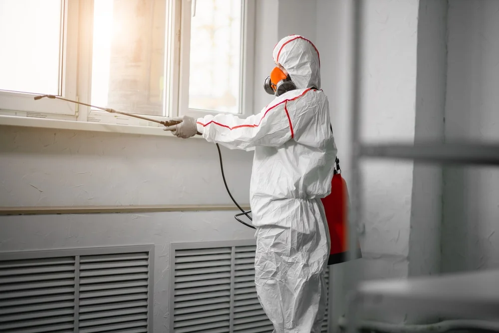 Professional mold remediation services in Jaffrey, NH